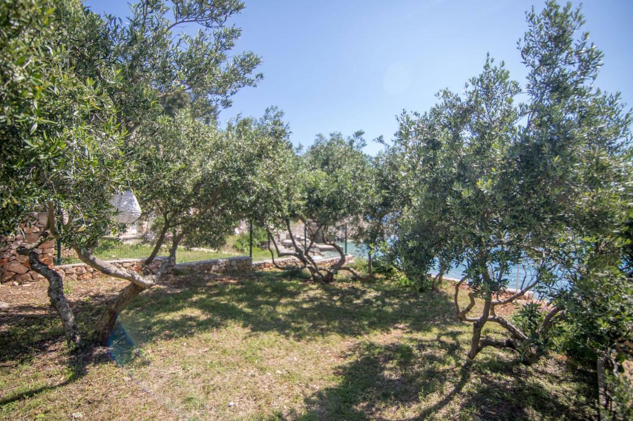 Apartments Robinzon Petar Gdinj Εξωτερικό φωτογραφία